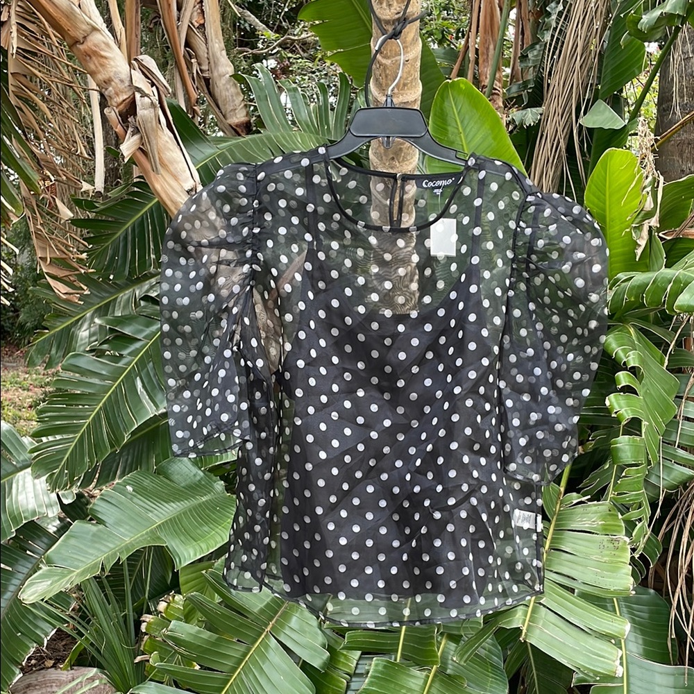 Kokomo sheer puff sleeve polkadot top